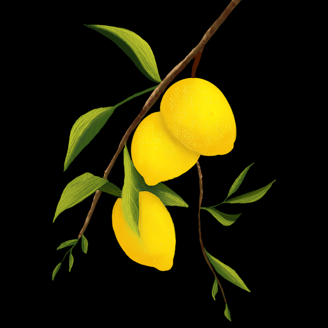 再度发酵：91网热搜回顾，数据全面泄露