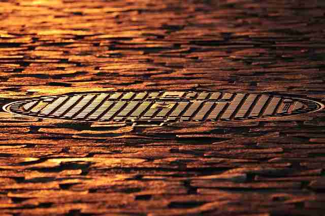 网络疯传：蘑菇视频后台数据泄露，评论区沦陷