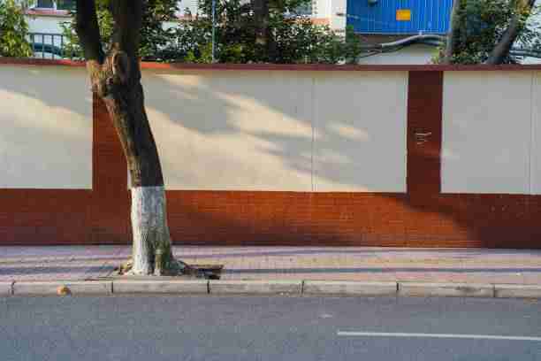 深度解析：91网画面流出，涉及多方利益