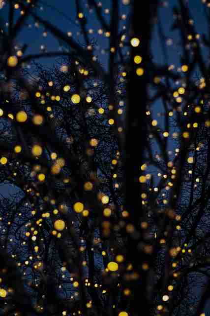 探索海角官网会员专属权益｜达人变现方法，尝试海角怎么去