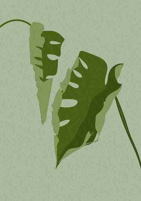 突发曝光：黑料网疯传深夜对话，平台已删但截图疯传