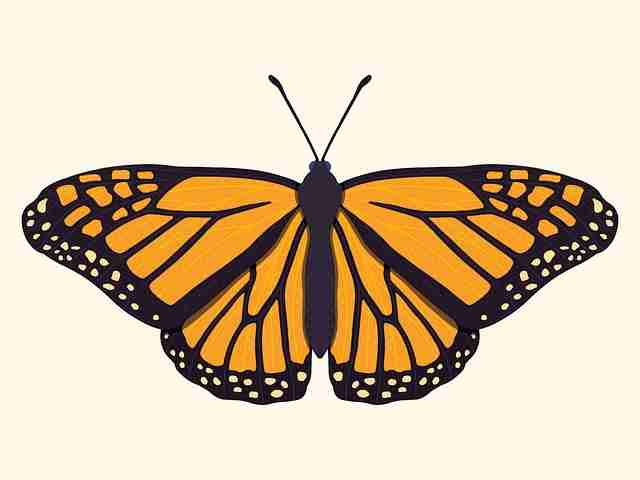 91网深挖明星翻车后公关套路｜社交热议