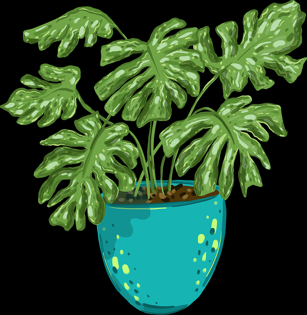 背后真相：91网封禁内幕，社交媒体爆炸